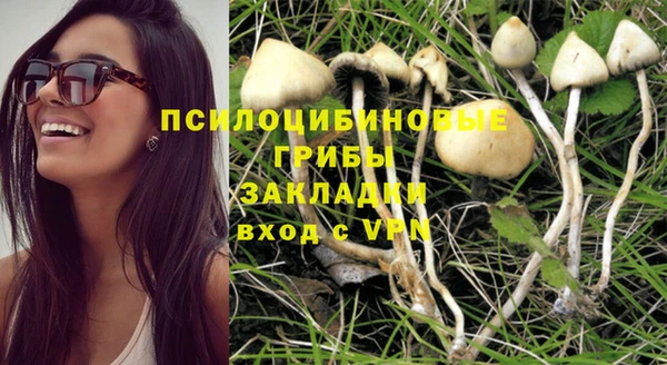 apvp Арсеньев