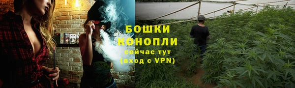 apvp Арсеньев
